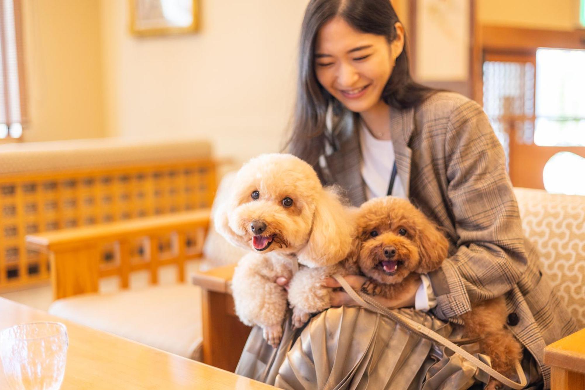 小松家八之坊酒店 伊豆之国市 外观 照片