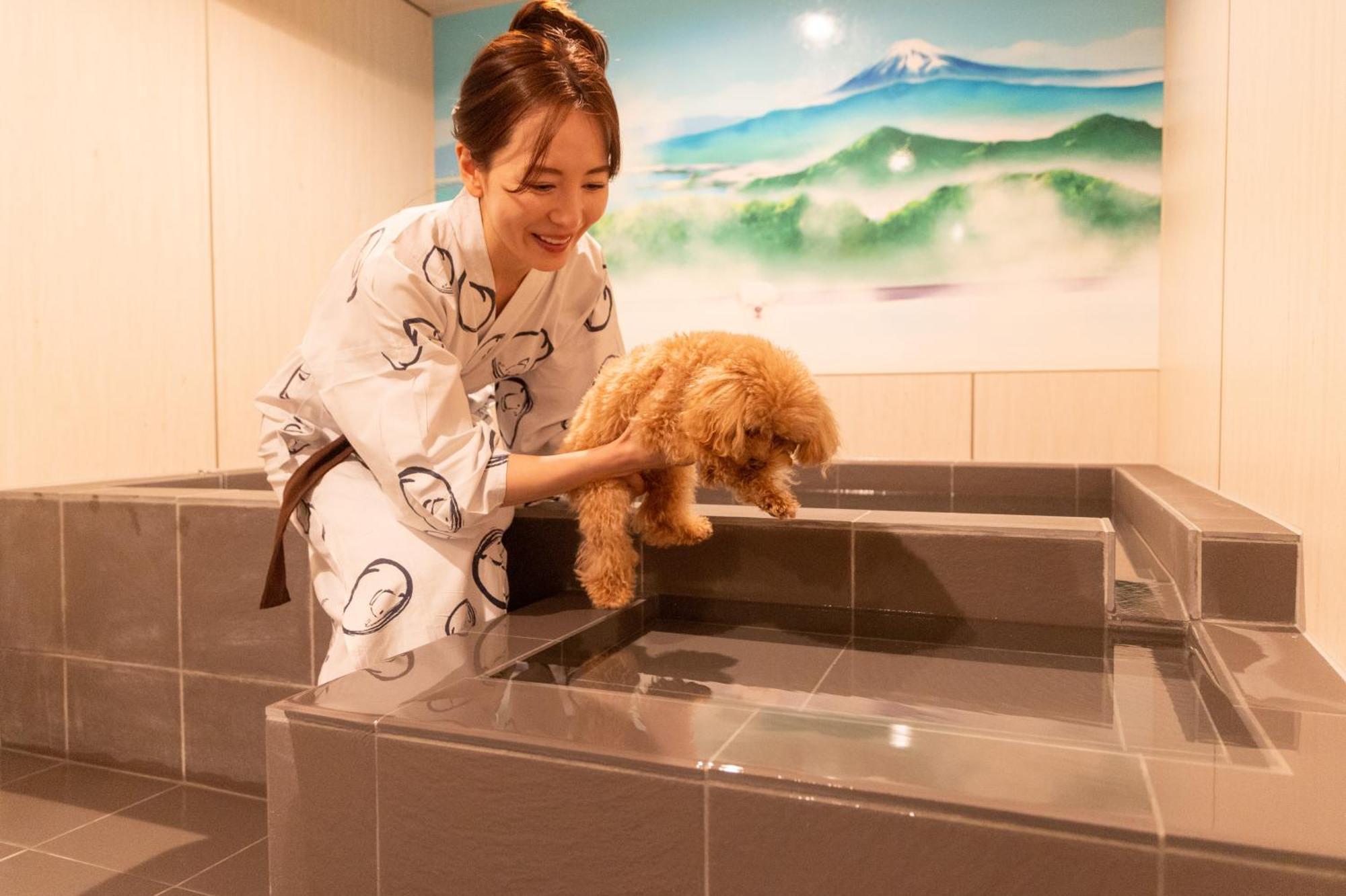 小松家八之坊酒店 伊豆之国市 外观 照片